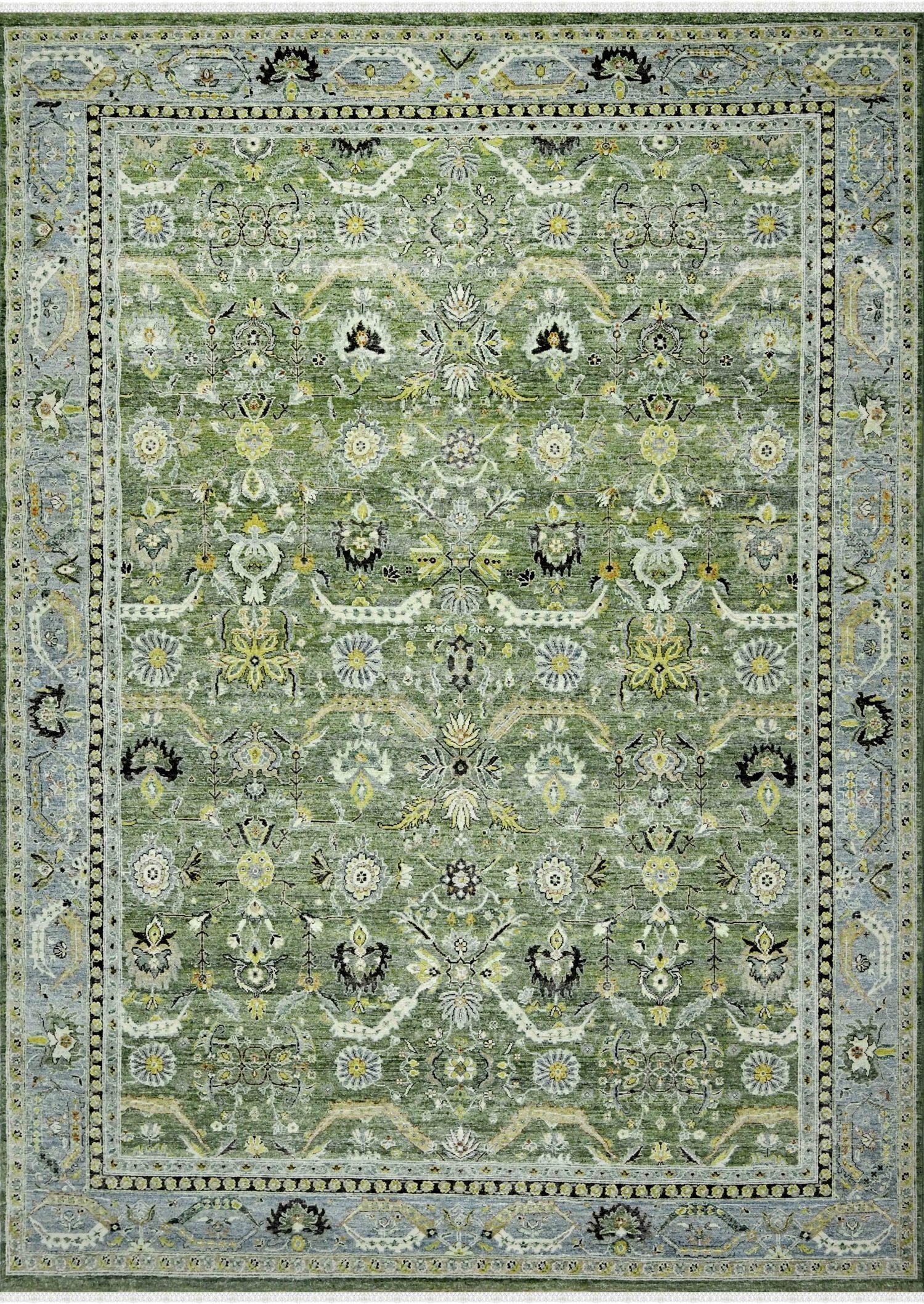 Agra Handwoven Transitional Rug