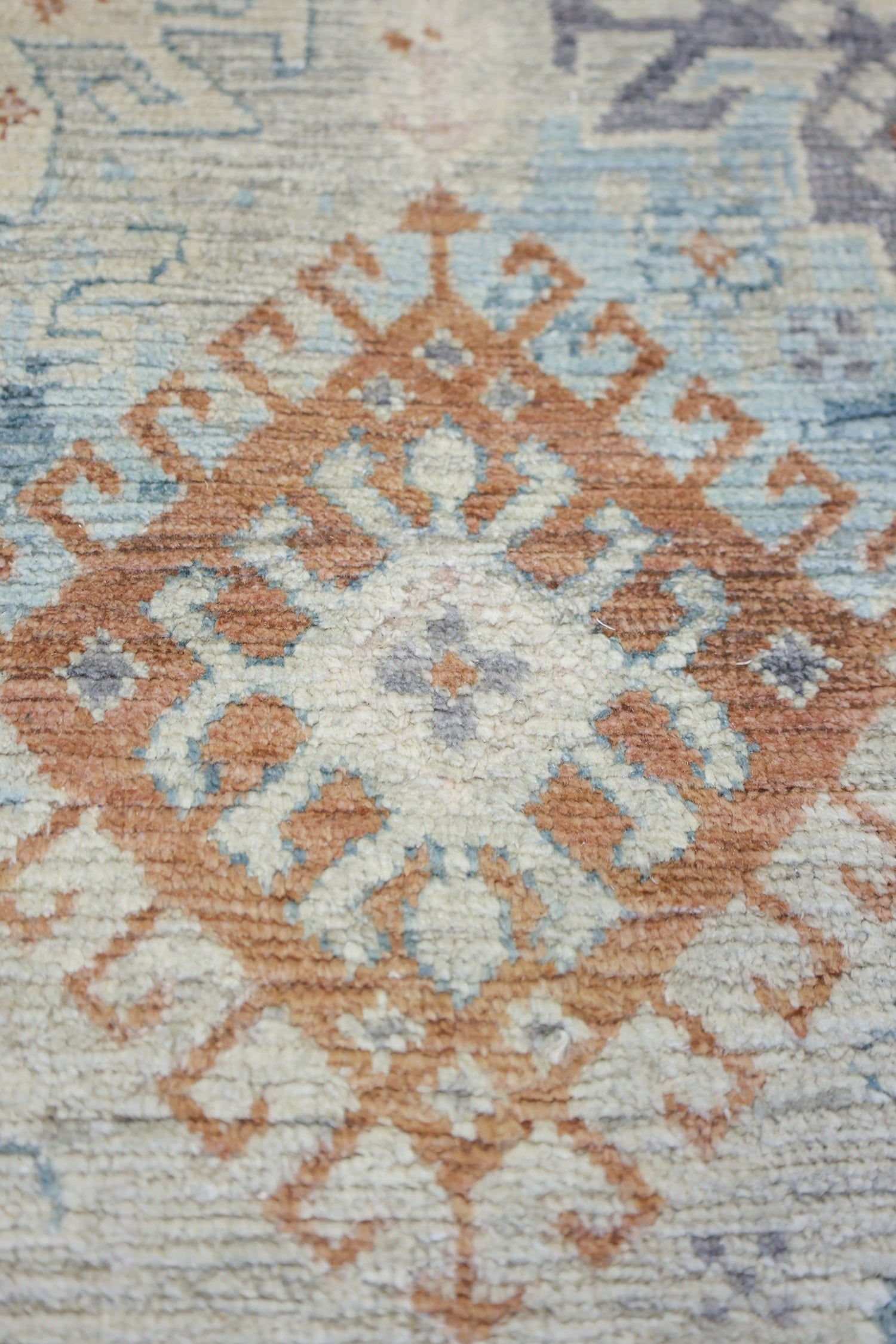 Agra Handwoven Transitional Rug, J73795