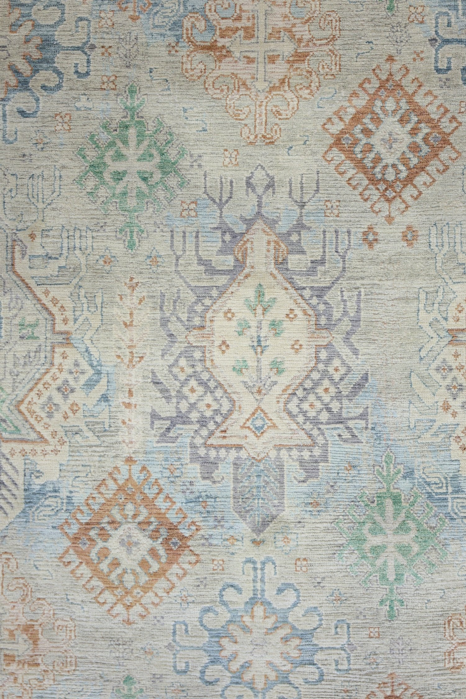 Agra Handwoven Transitional Rug, J73795