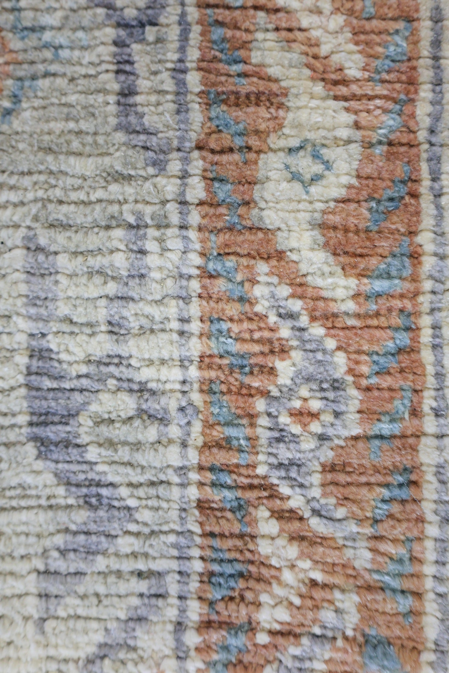 Agra Handwoven Transitional Rug, J73795