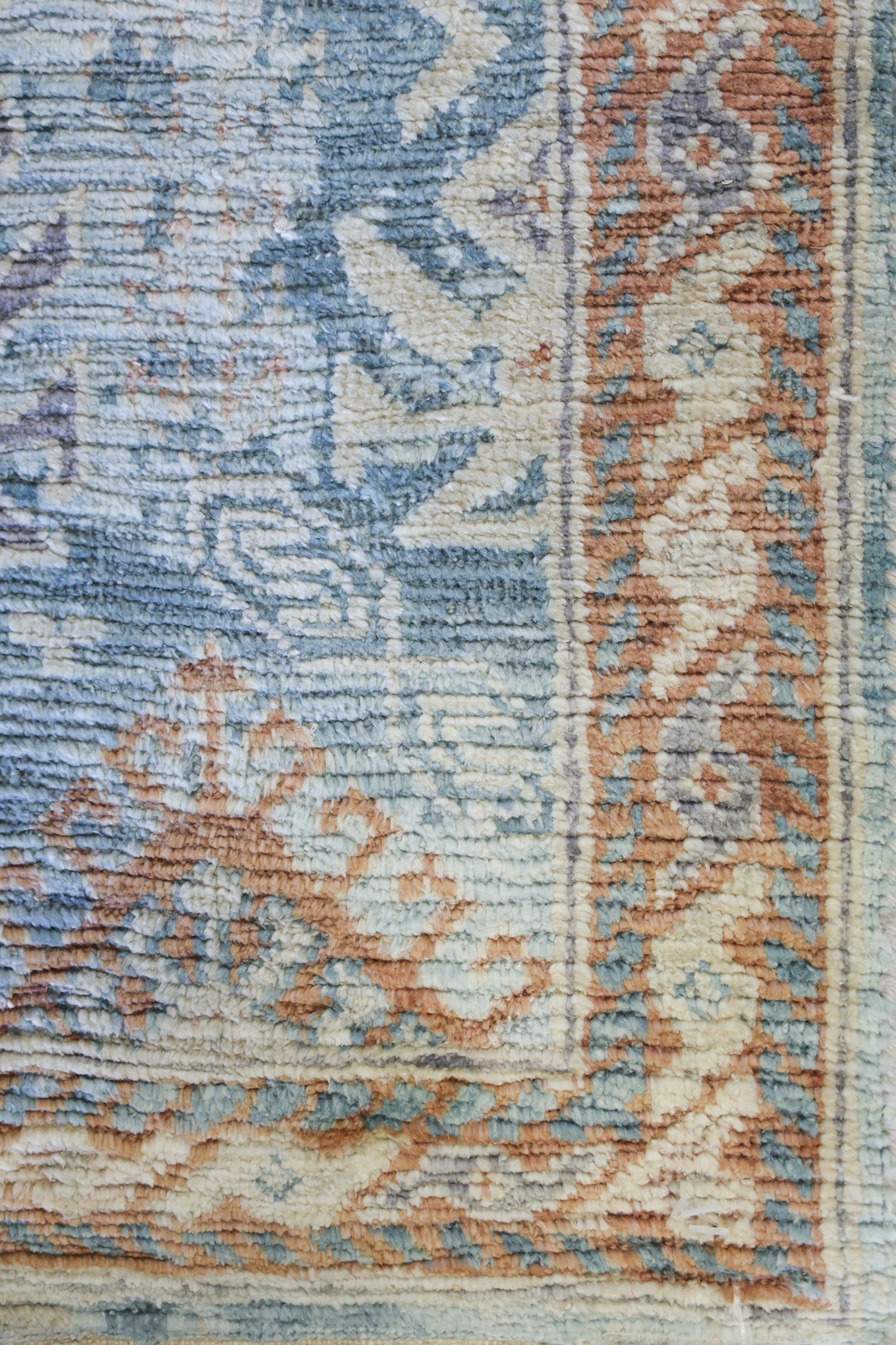 Agra Handwoven Transitional Rug, J73795