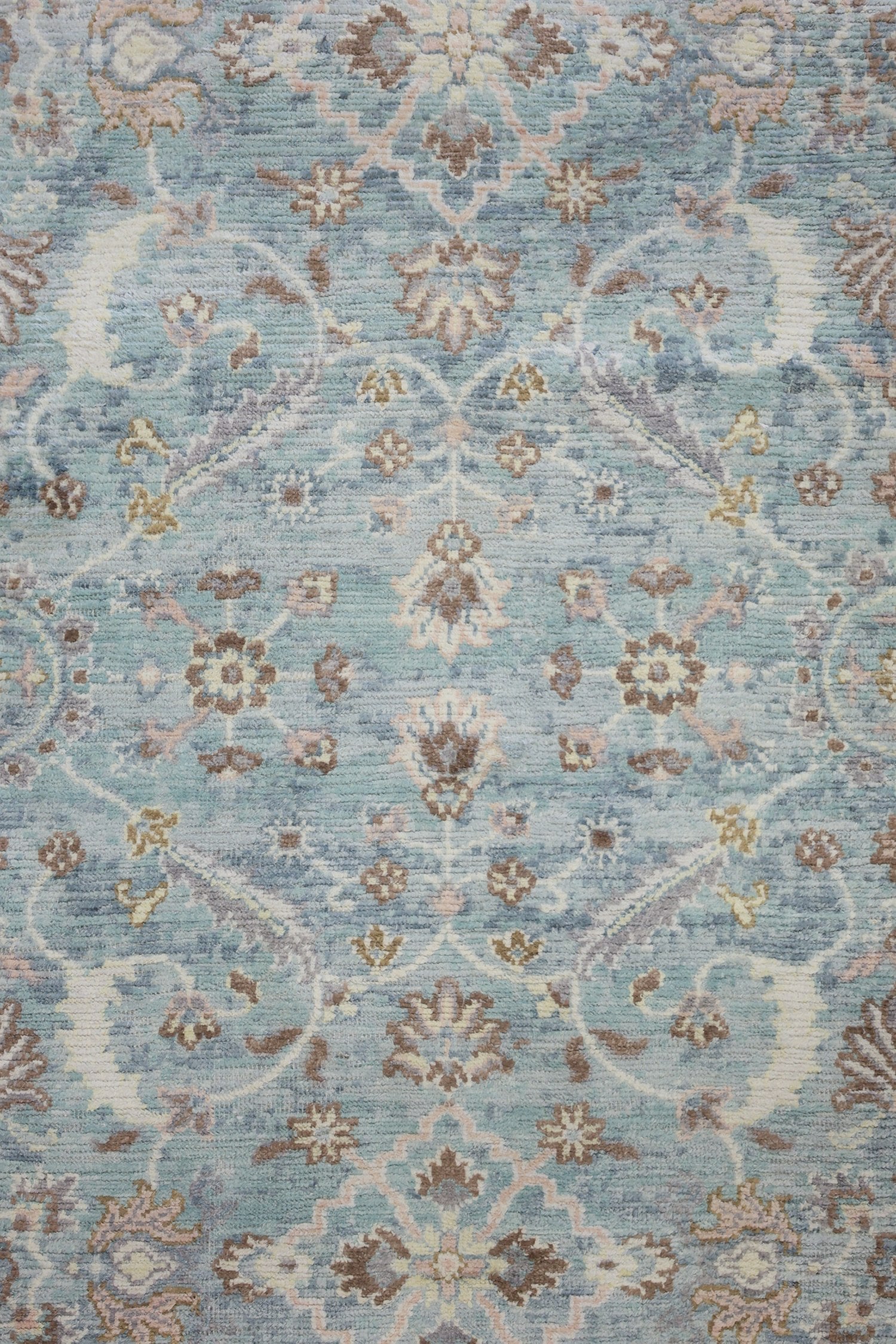 Amritsar Handwoven Transitional Rug, J73796