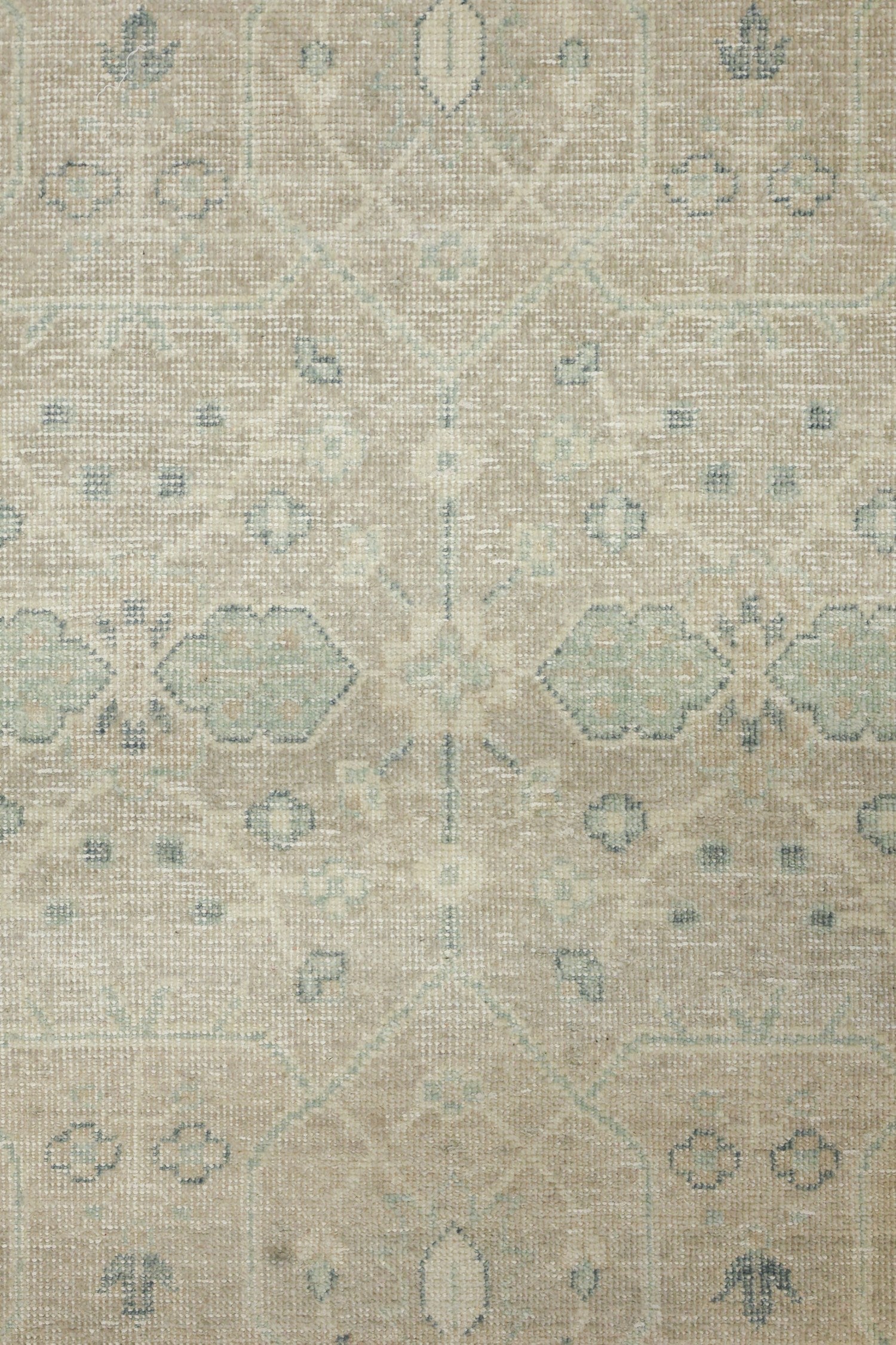 Ferahan Handwoven Transitional Rug, J75704