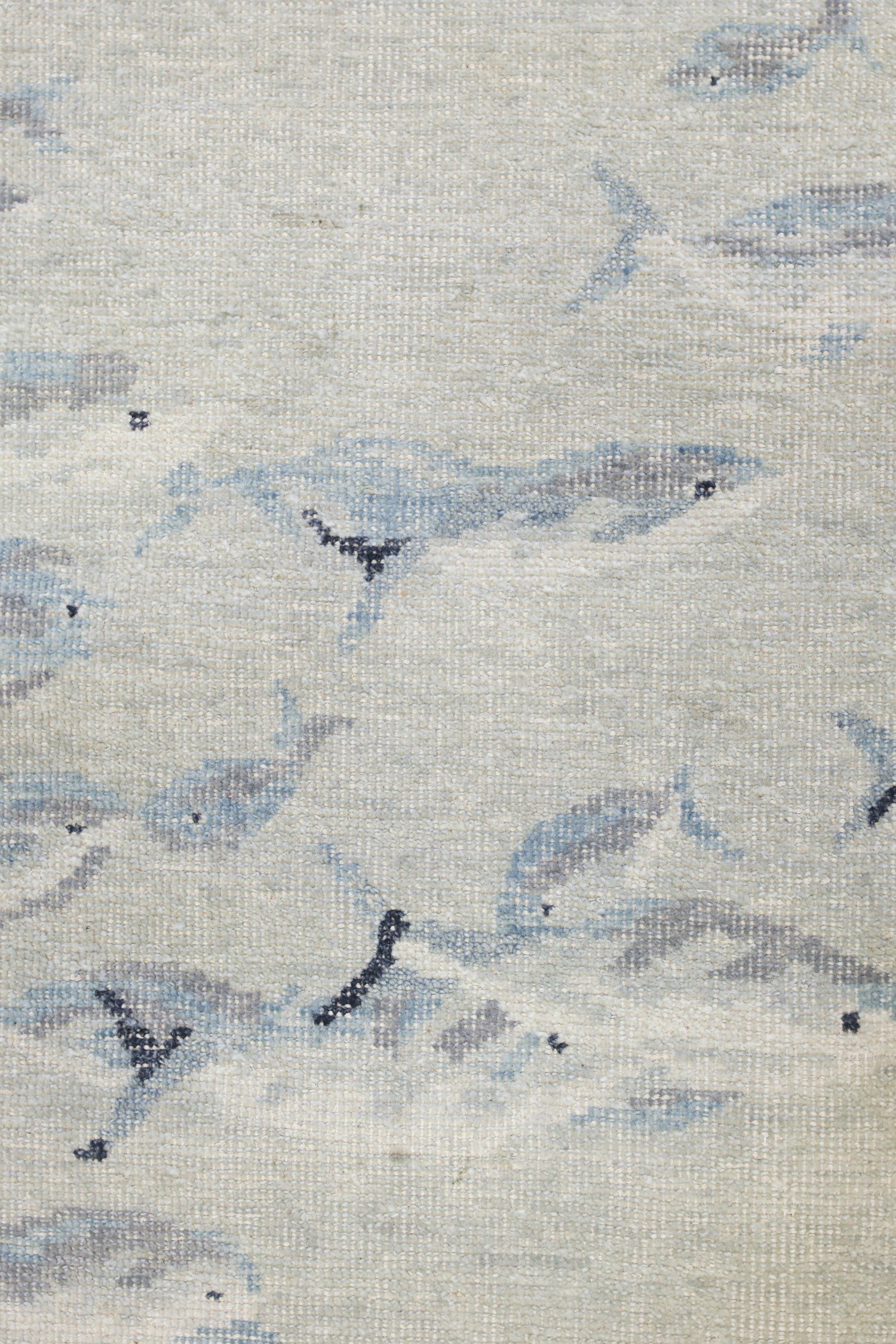 Fish School Handwoven Transitional Rug, J75691