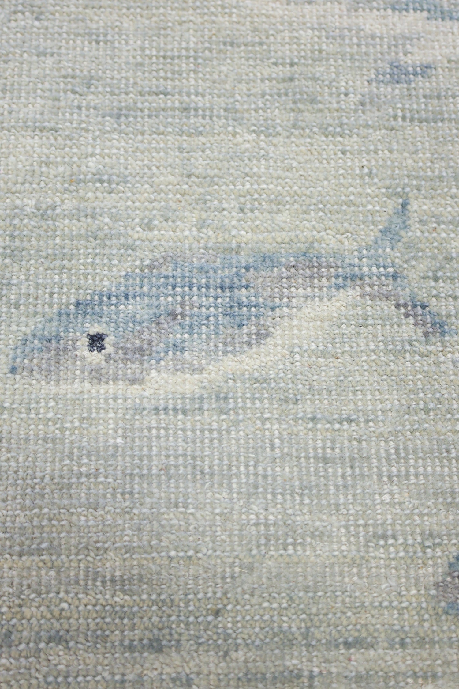 Fish School Handwoven Transitional Rug, J75744