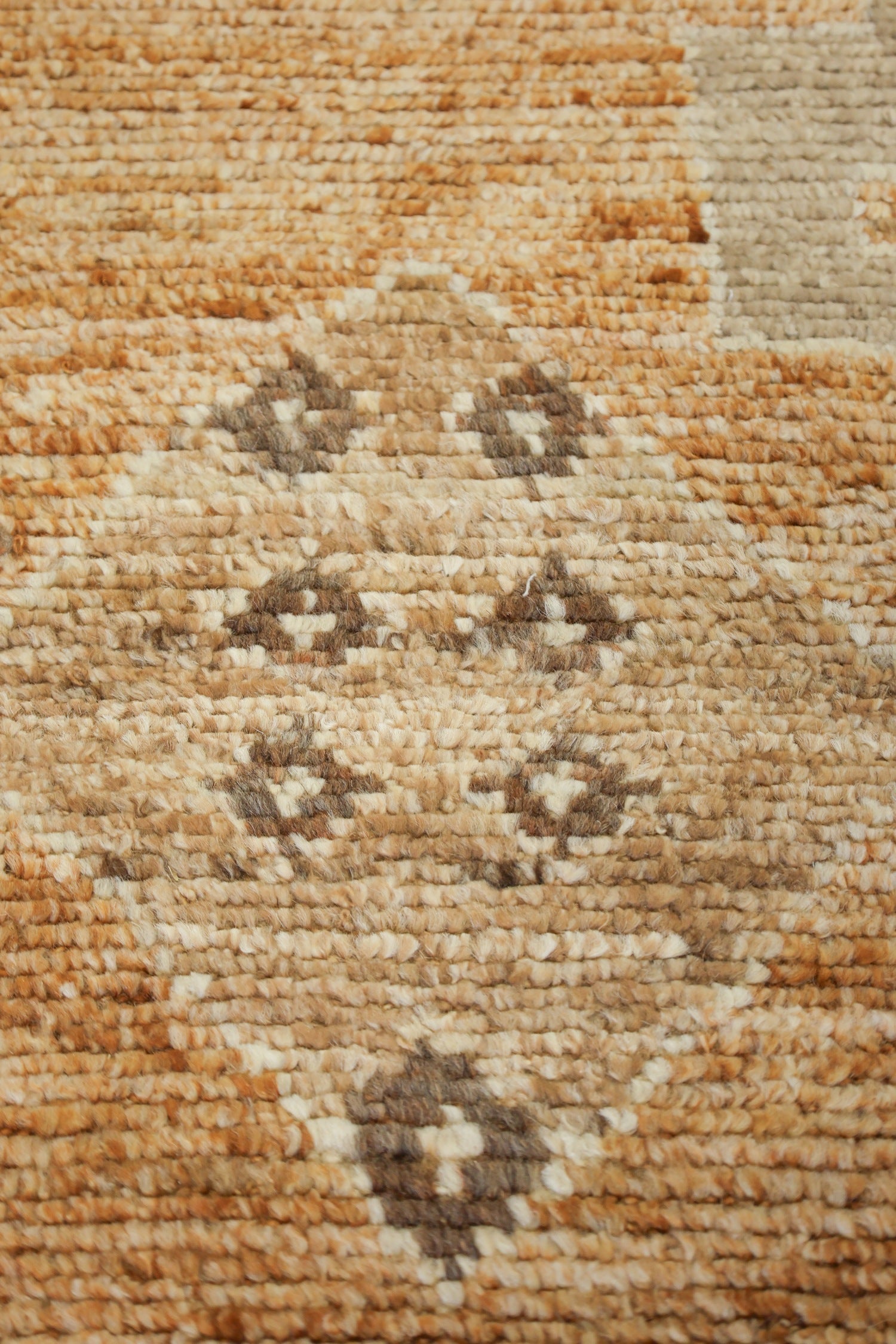 Kars Handwoven Transitional Rug, J75699