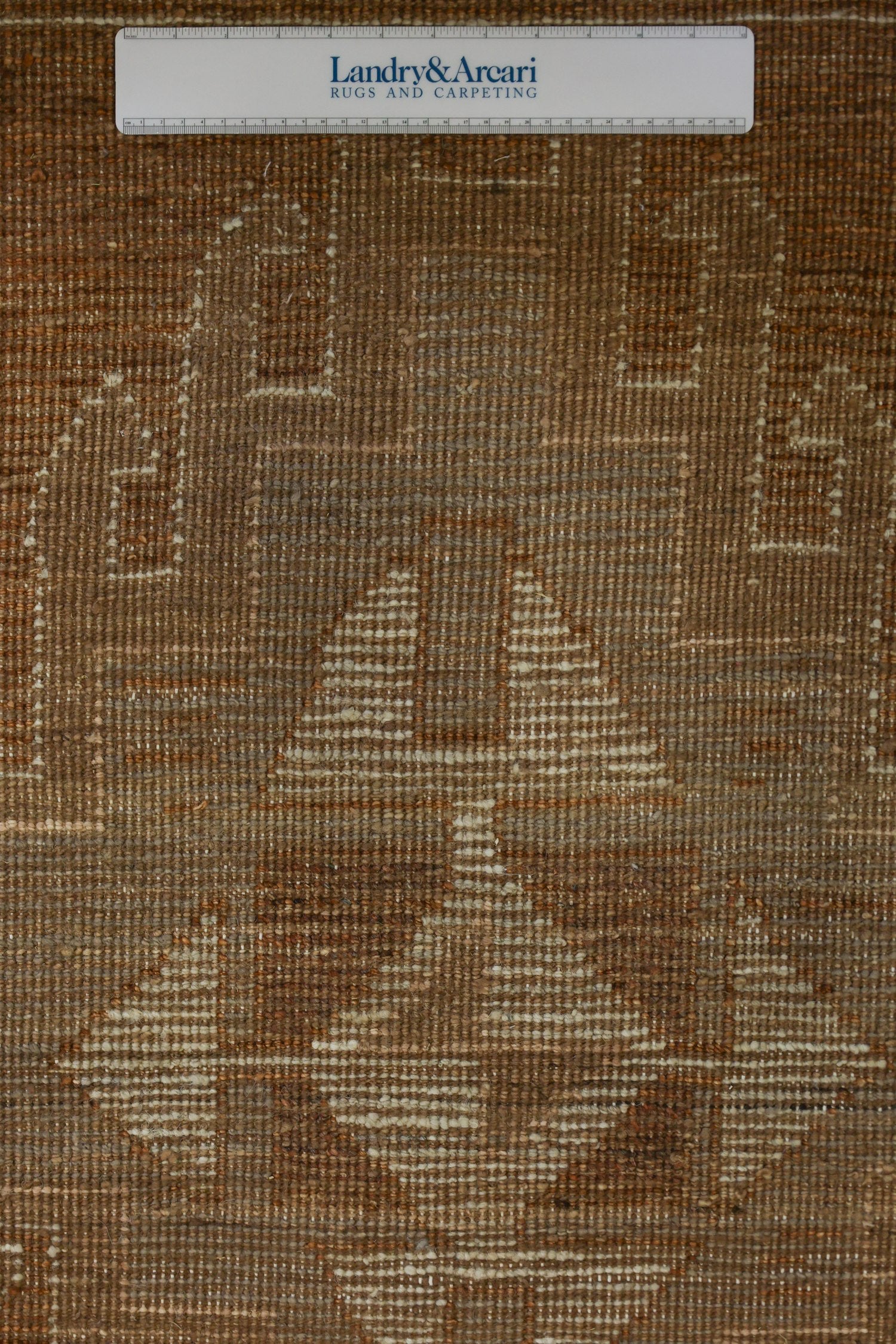 Kars Handwoven Transitional Rug, J75699