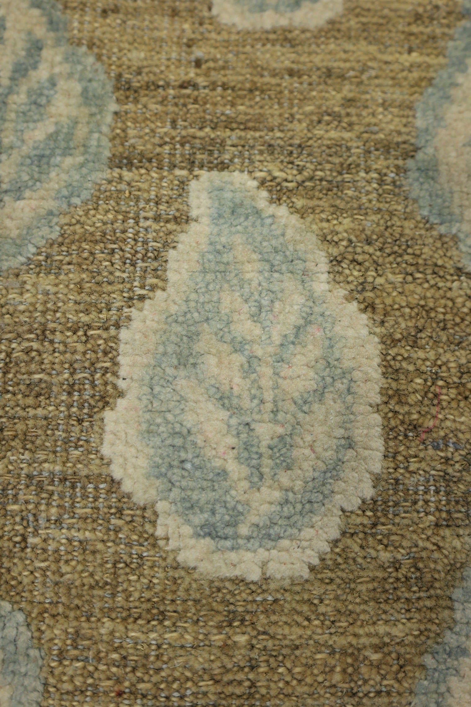 Leaf Handwoven Transitional Rug, J75613