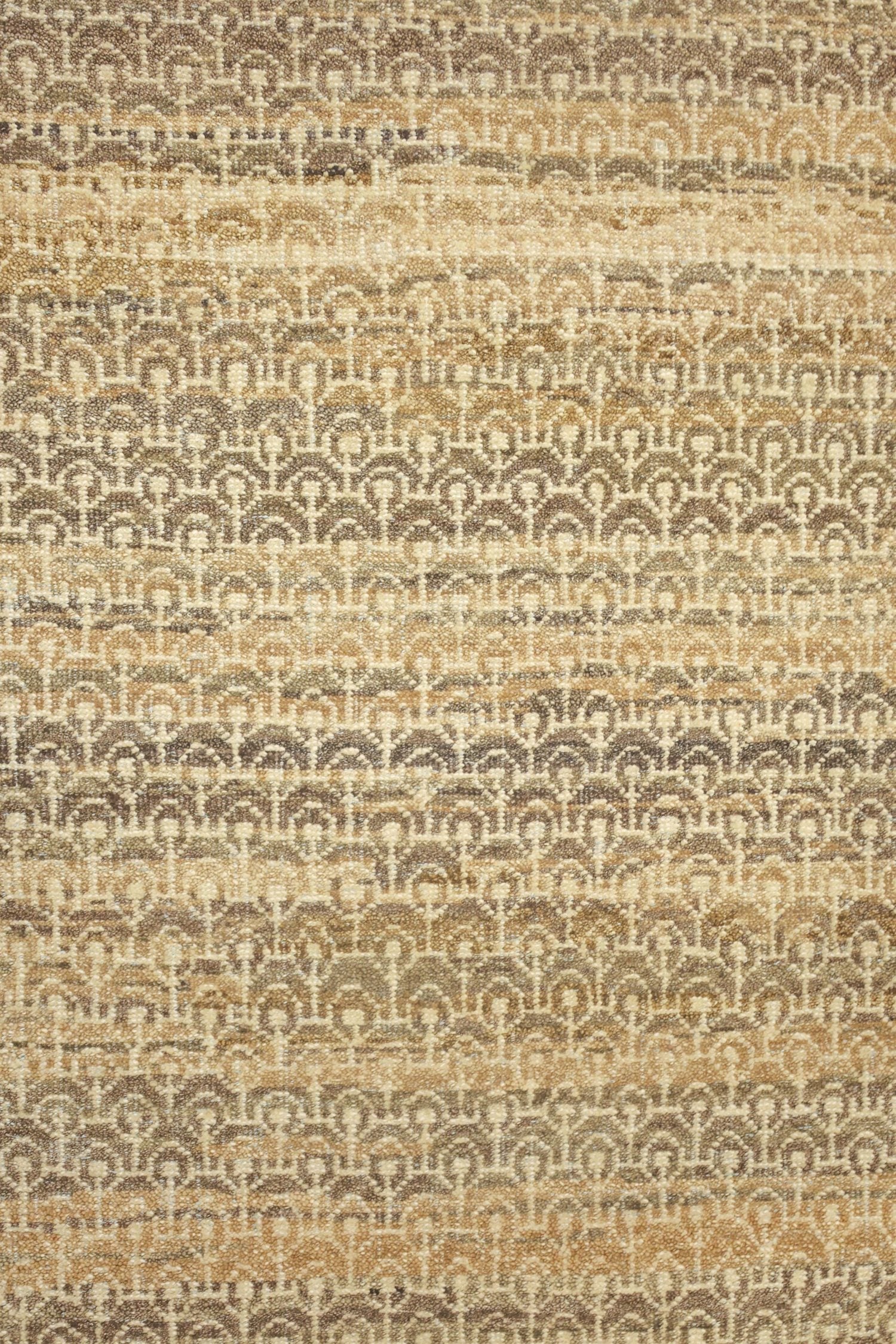 Senna Flower Handwoven Transitional Rug, J77085