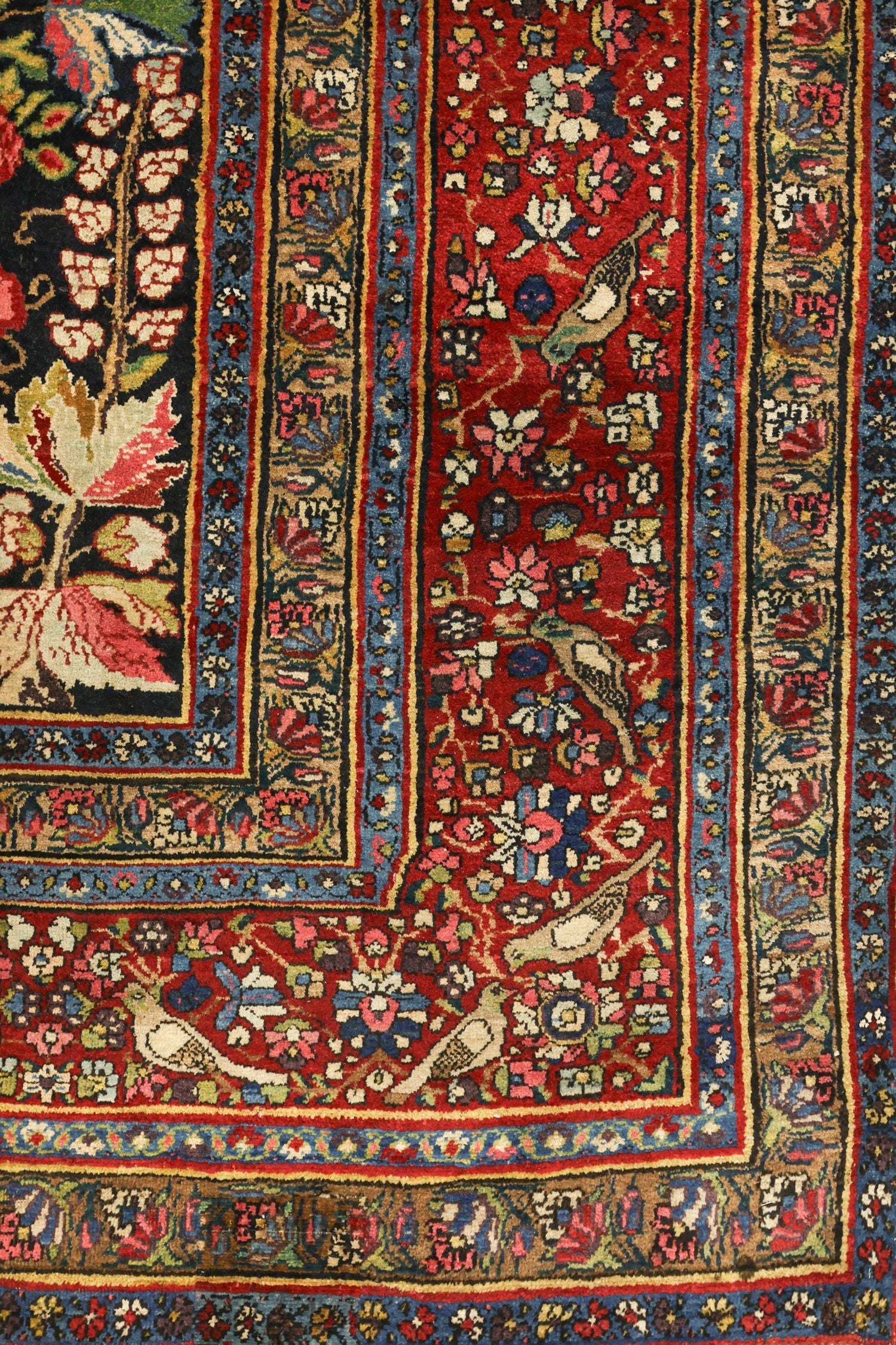 Handwoven tribal rug detail, showcasing a red field with floral and bird motifs, intricate border.
