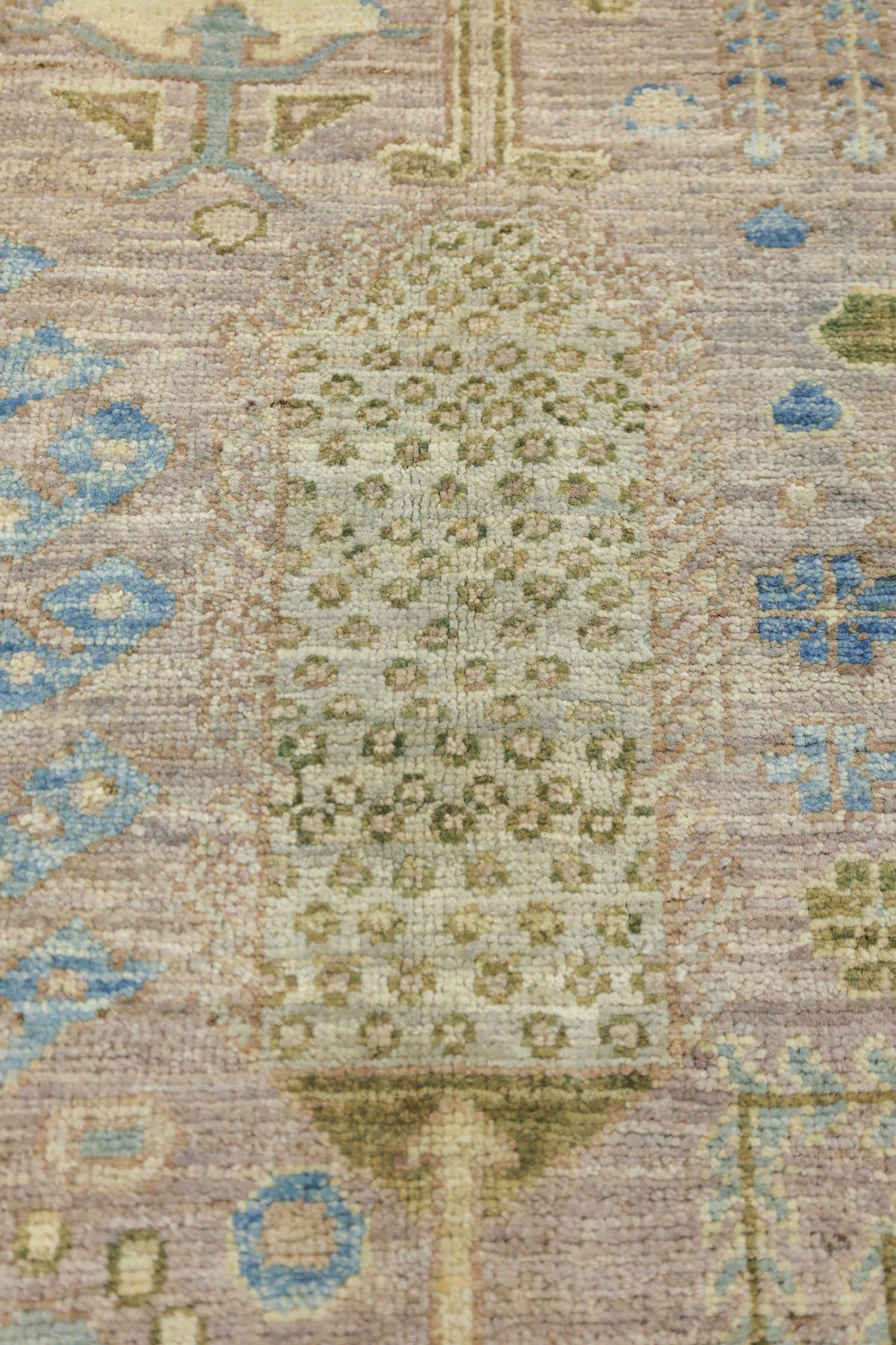 Bakshaish Willow Handwoven Tribal Rug, J75617