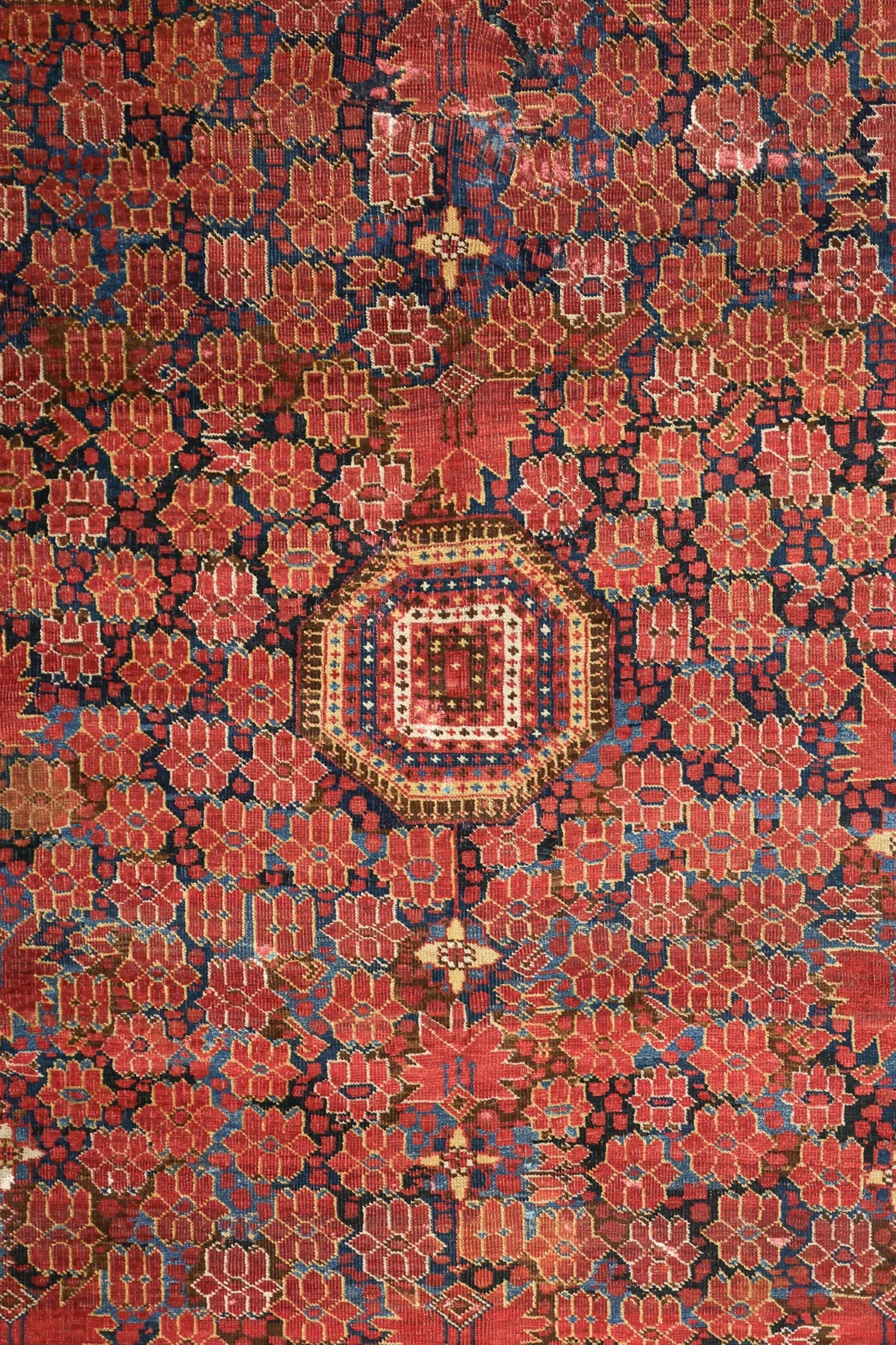 Handwoven tribal rug detail, showcasing a red and blue floral pattern with a central medallion.
