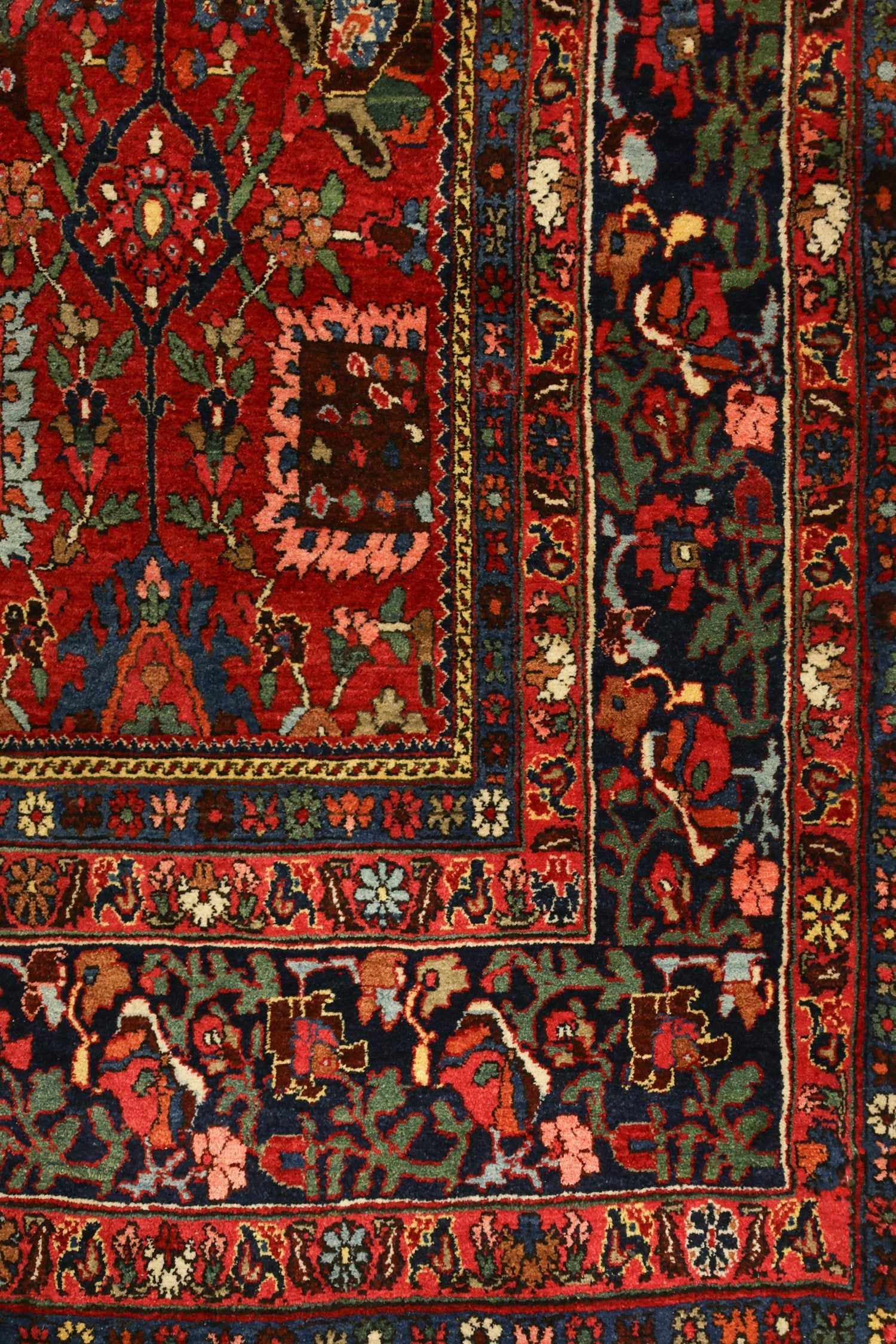 Detail of antique Bijar rug, showcasing vibrant red and navy floral patterns, handwoven with intricate border.
