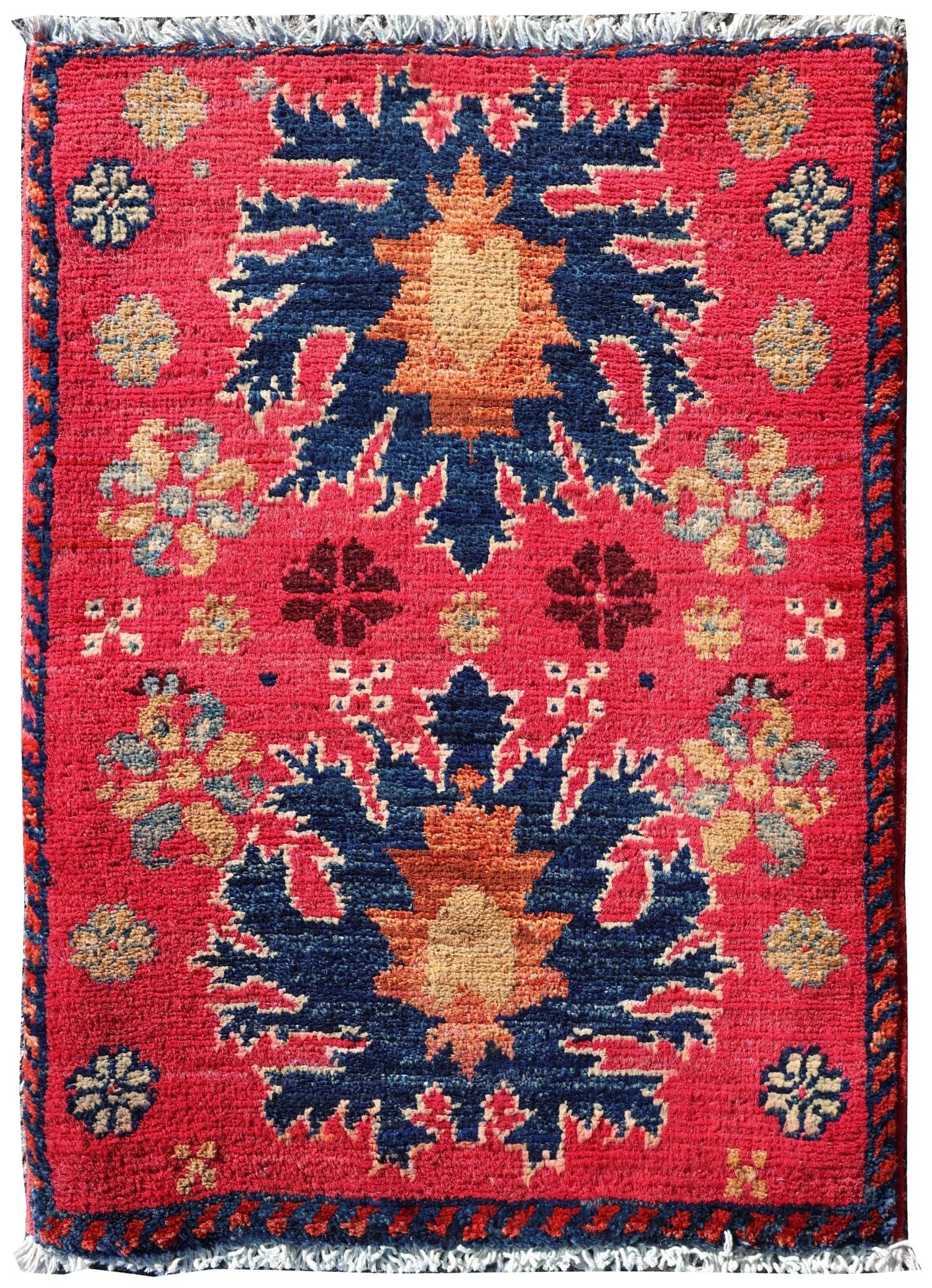 Reza Handwoven Tribal Rug