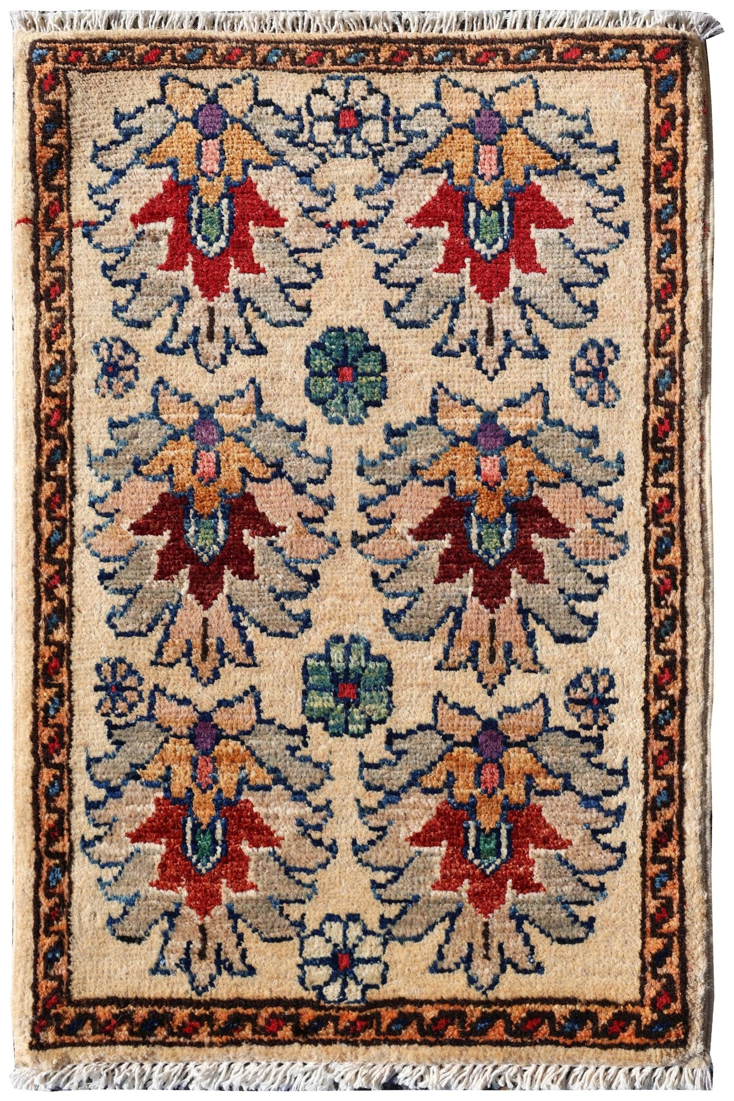 Reza Handwoven Tribal Rug