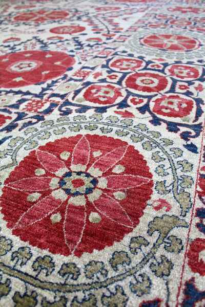 Suzani Handwoven Transitional Rug, 60059