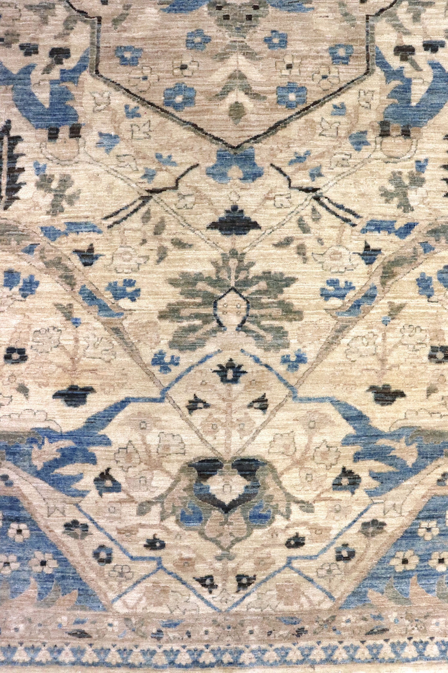 Serapi Handwoven Transitional Rug, J63853